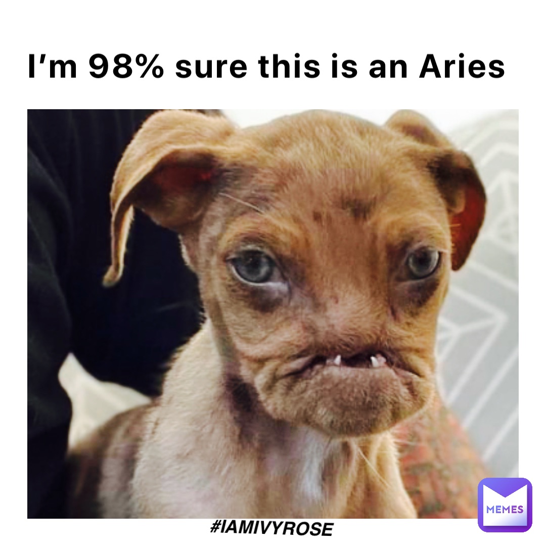 I’m 98% sure this is an Aries #IAmIvyRose