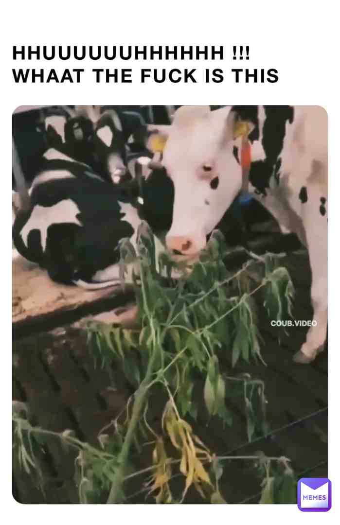 Meme preview