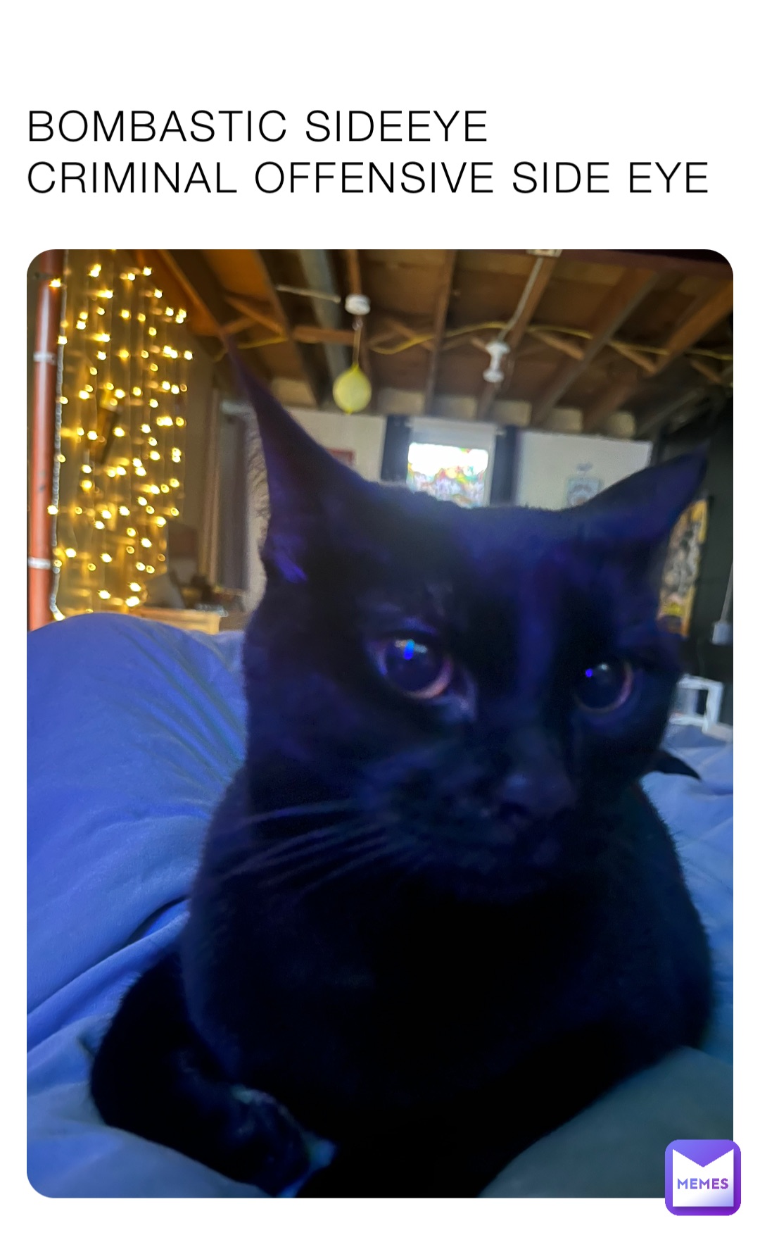 BOMBASTIC SIDEEYE
CRIMINAL OFFENSIVE SIDE EYE