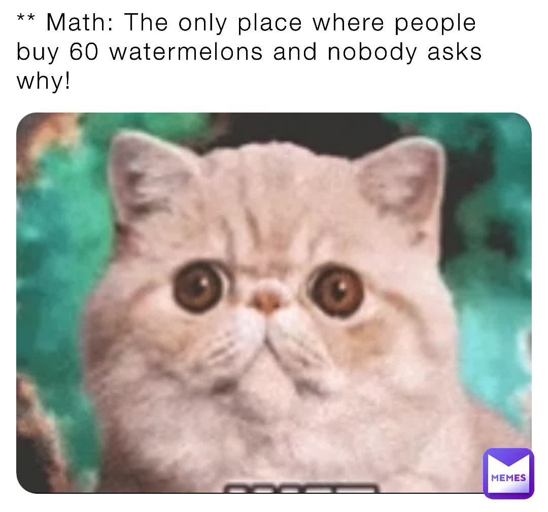 #dailymemes