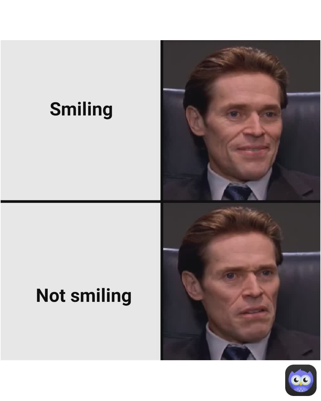 smiling-not-smiling-punsandstuff-memes