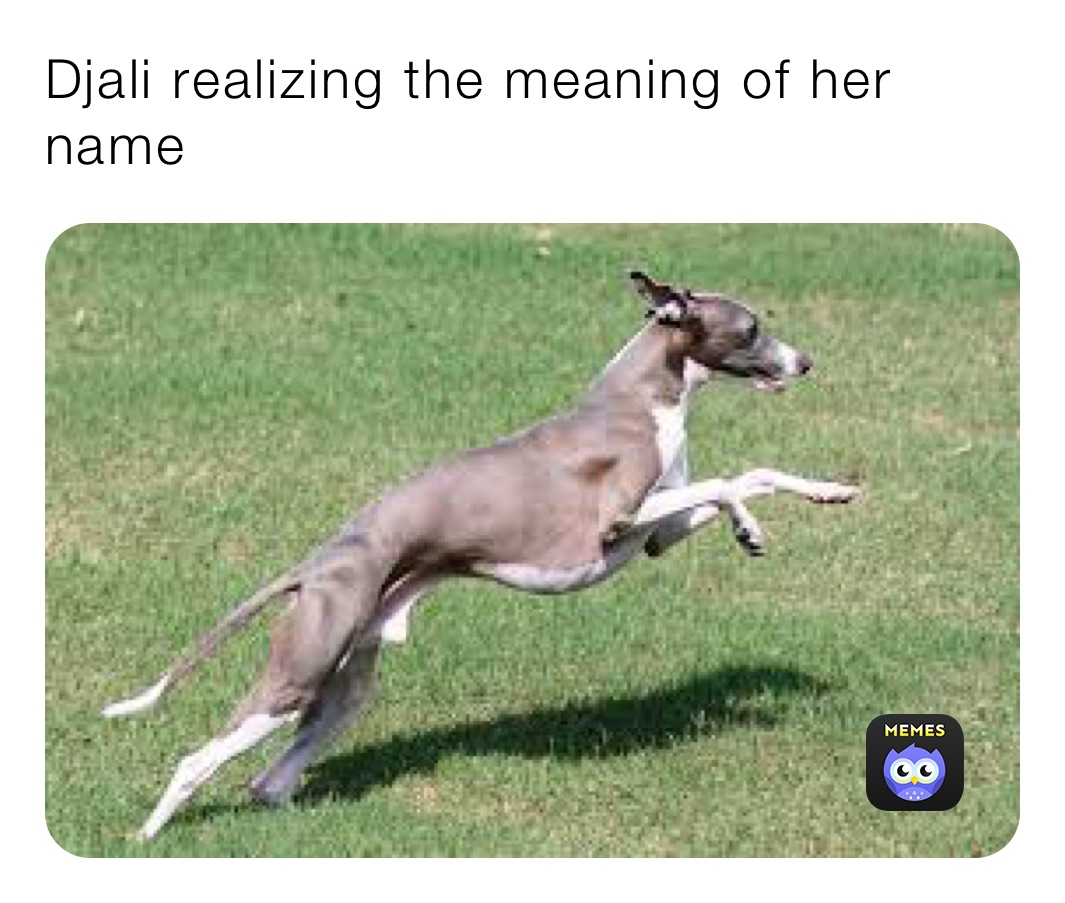 Djali realizing the meaning of her name