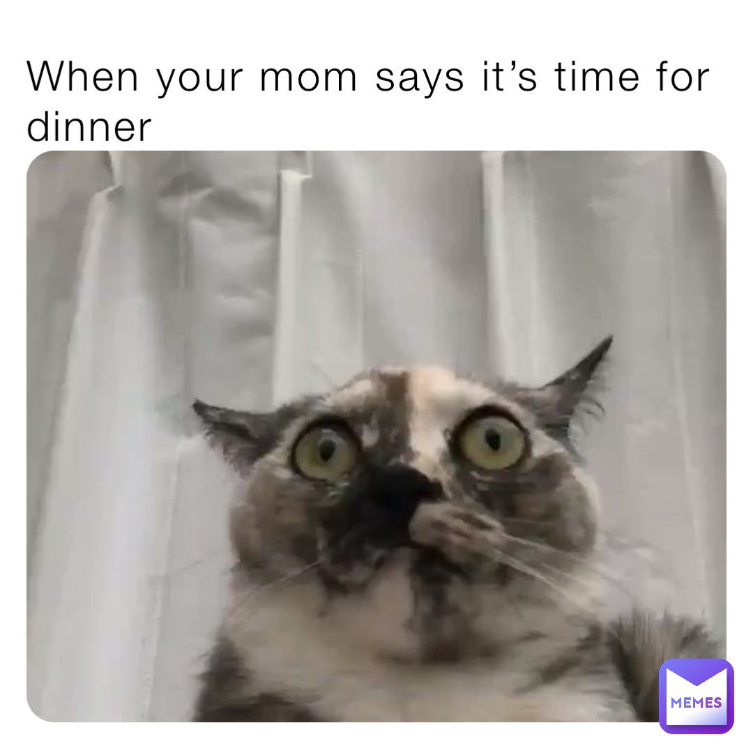 When your mom says it’s time for dinner | @dailydoseofmemes41 | Memes