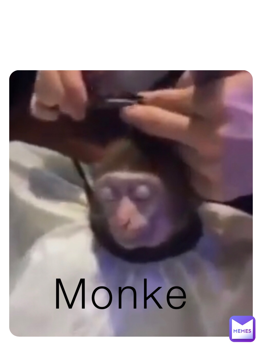 Monke