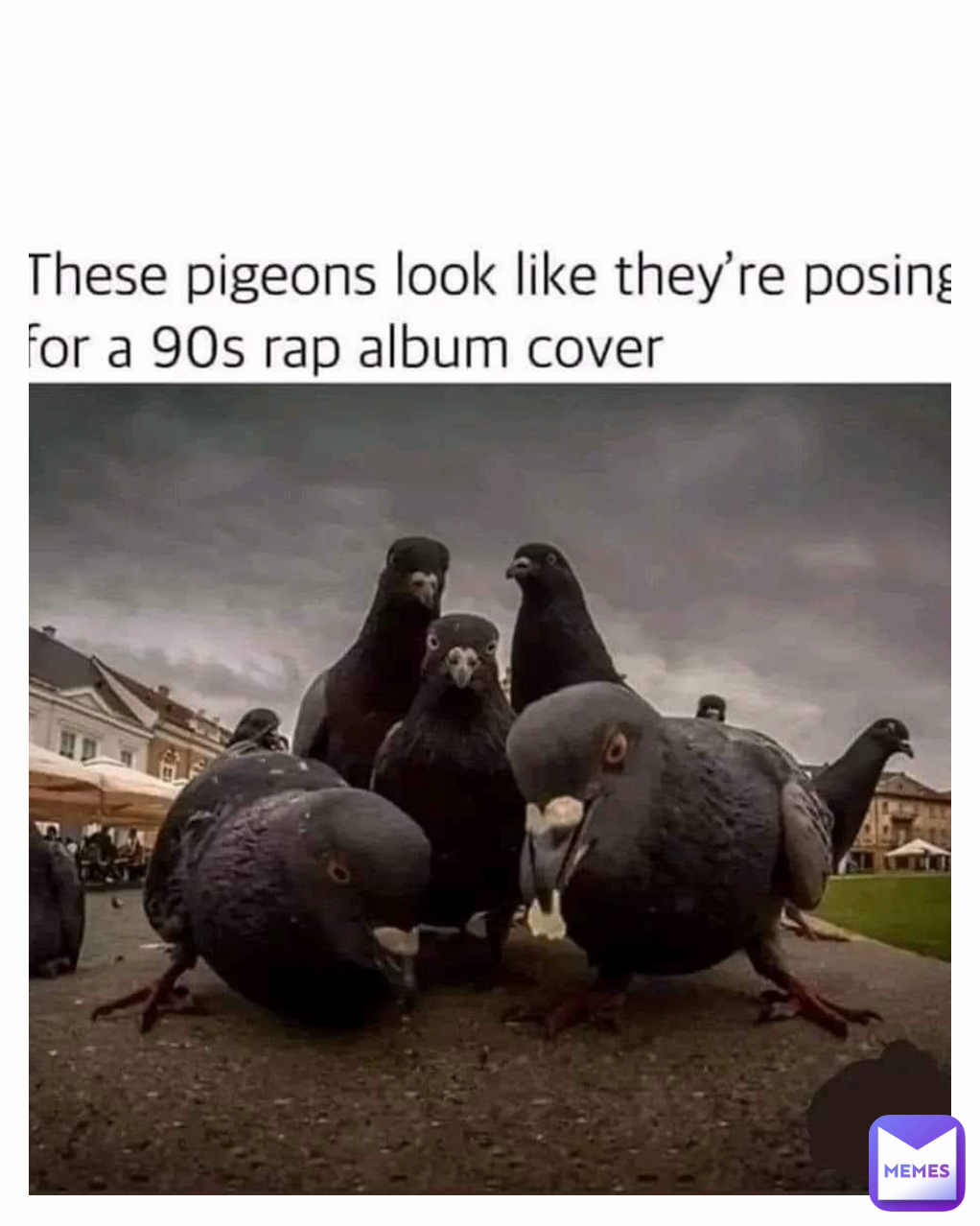 Meme by lolypop_me_boy