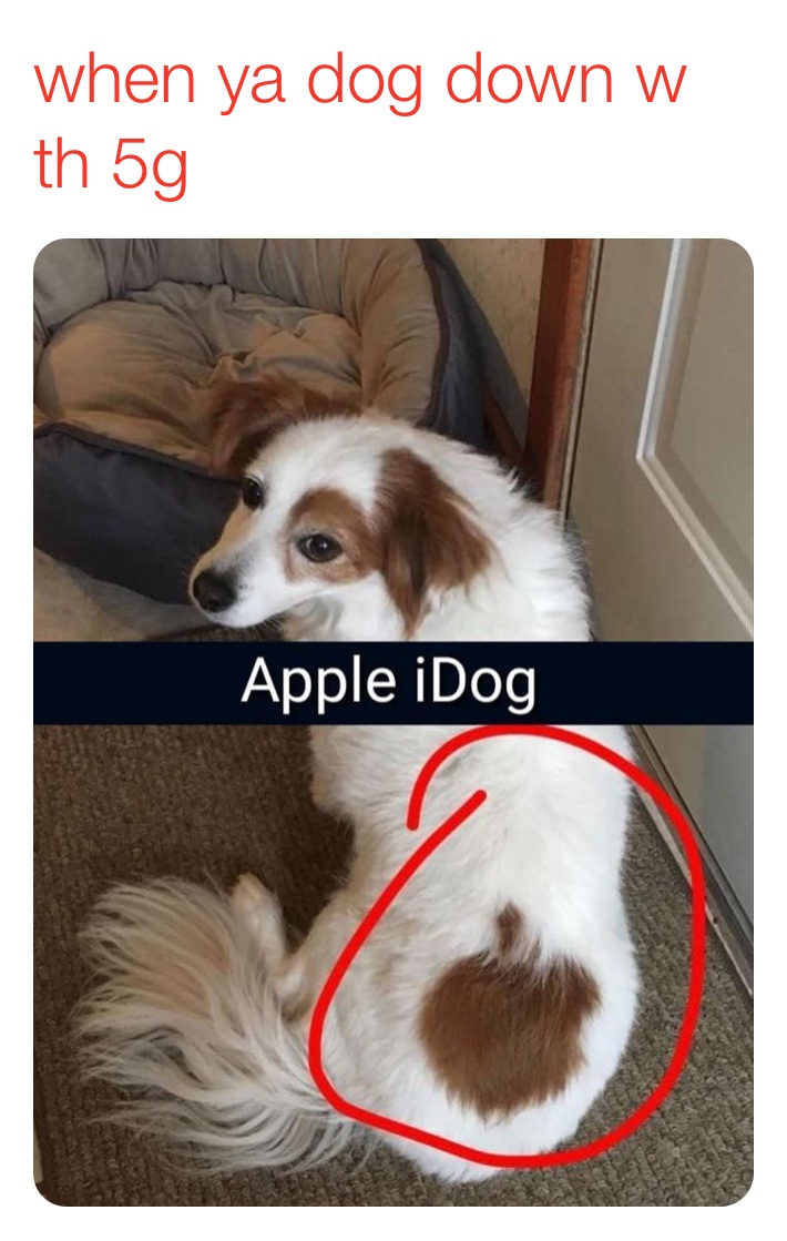 Meme by jahsoblessed