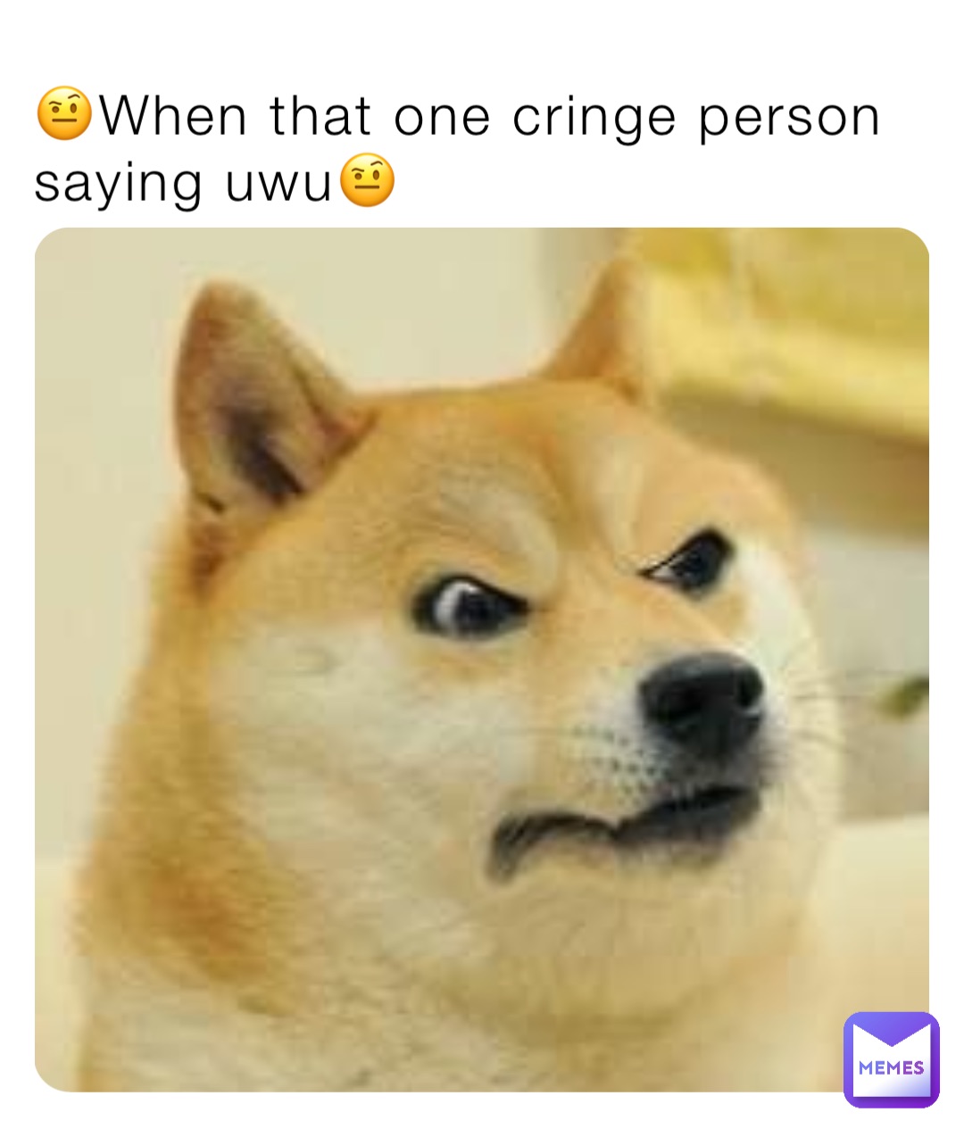 🤨When that one cringe person saying uwu🤨