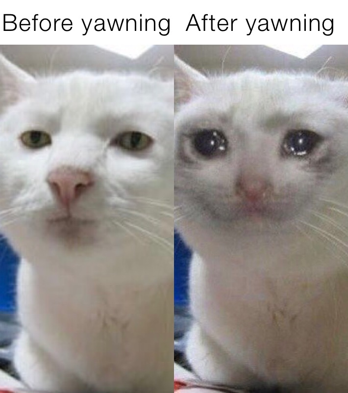 Before yawning After yawning