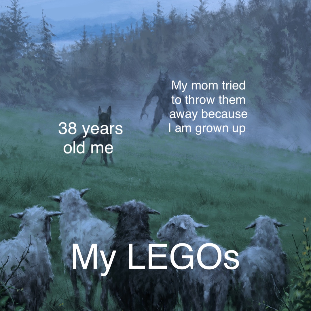 38 years 
old me My LEGOs My mom tried 
to throw them 
away because 
I am grown up