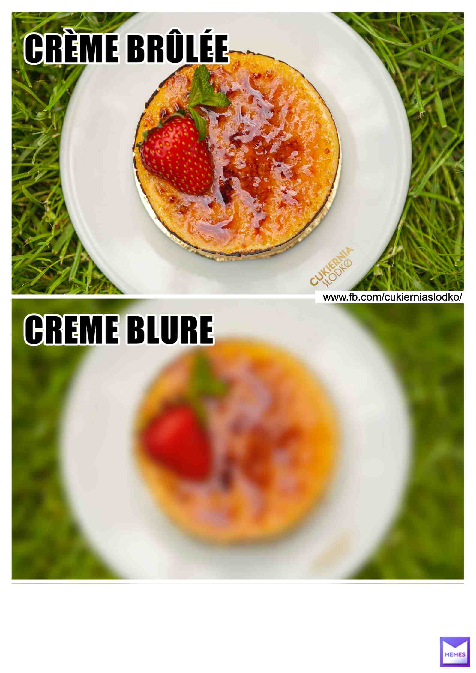 Creme Brulee or Blure? #cremebrulee #sweet #cake #brulee #blurred #blur #creme #french #pastry #cukierniaslodko #slodko