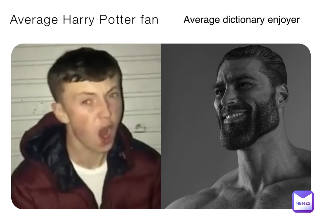 Average Harry Potter fan Average dictionary enjoyer