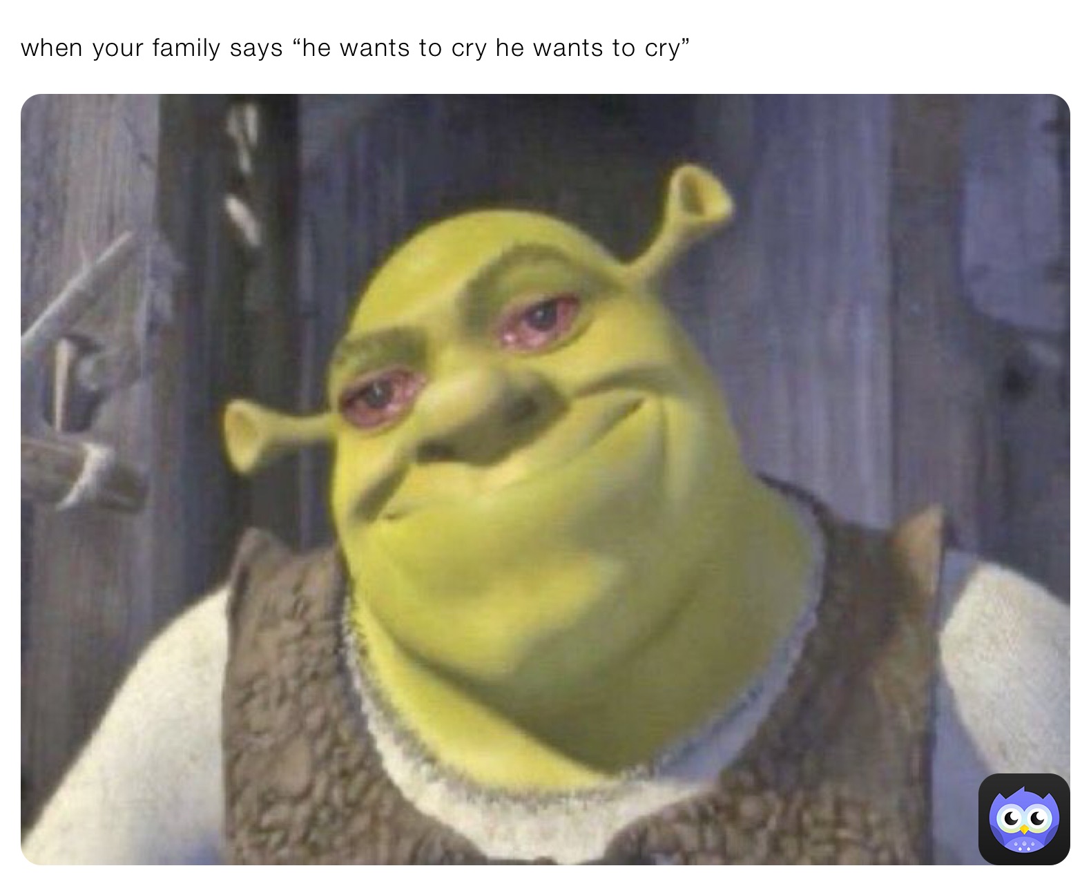 when your family says “he wants to cry he wants to cry”