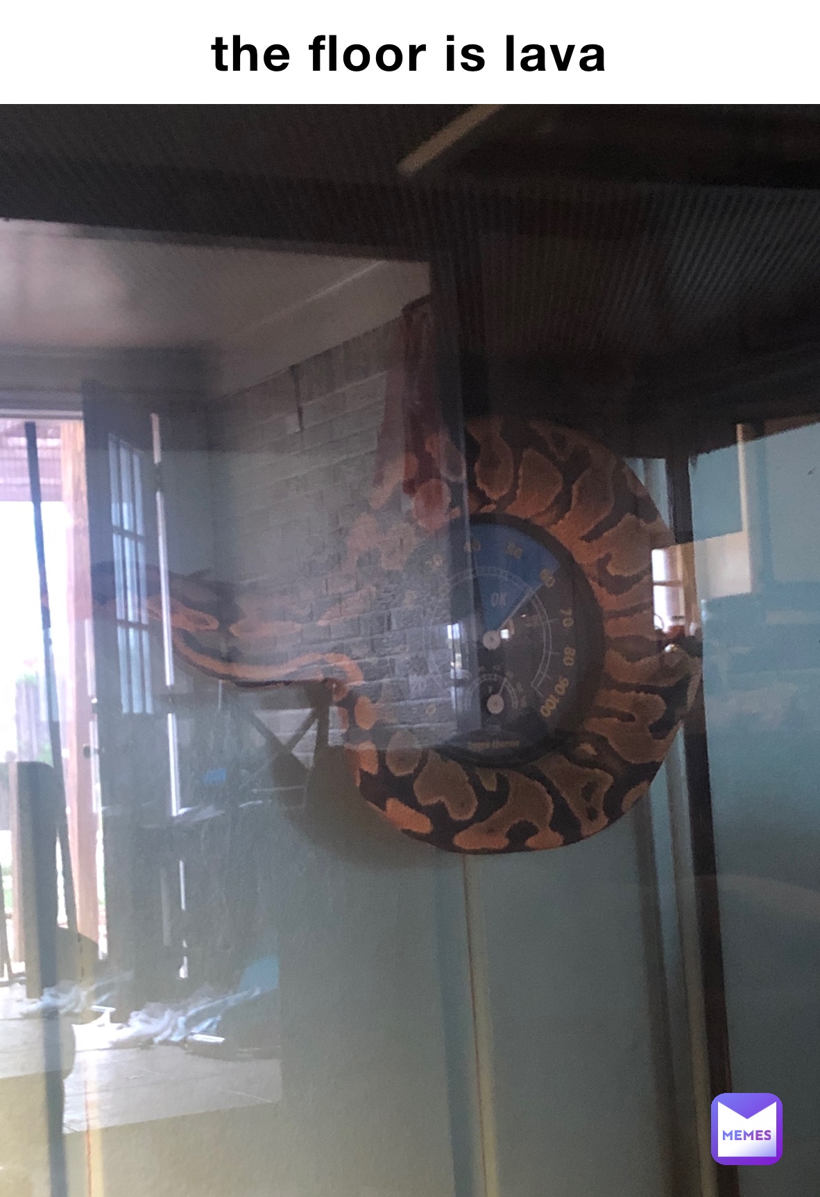 Meme by Weeb_meme_god