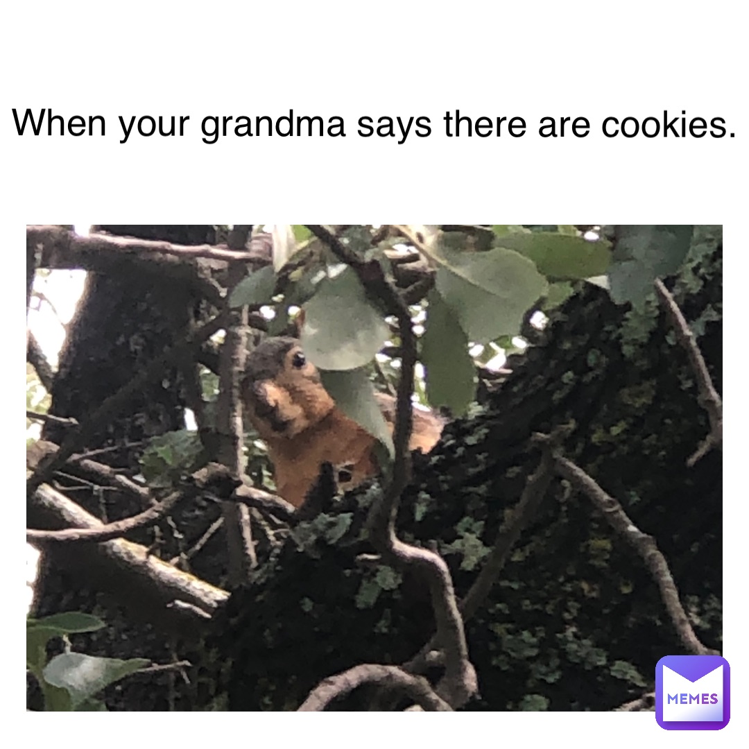 When your grandma says there are cookies.