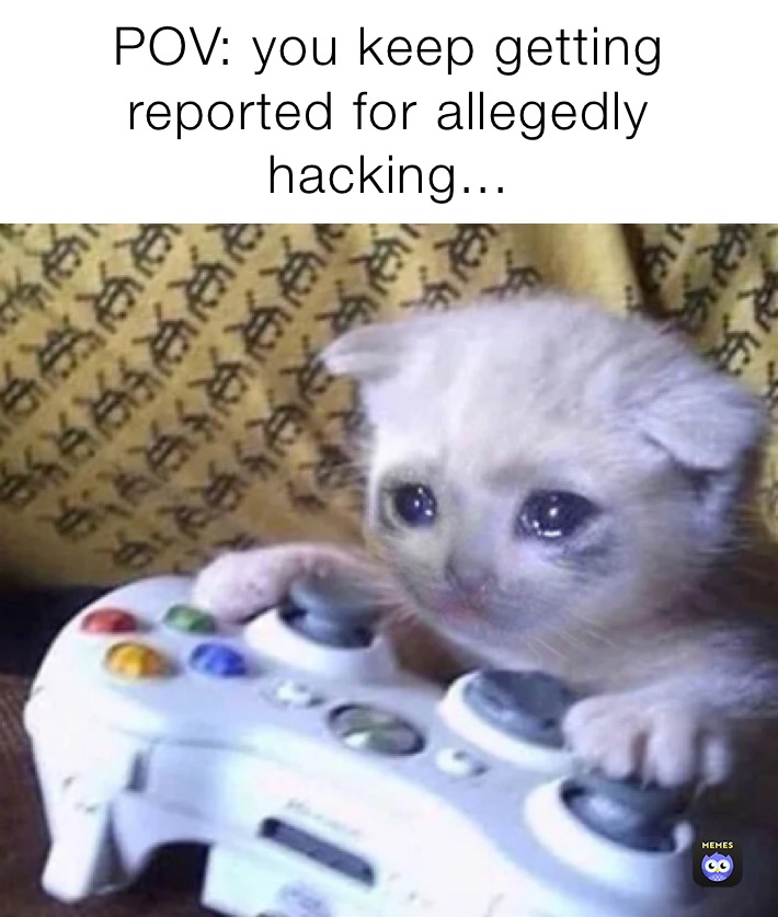 POV: you keep getting reported for allegedly hacking...