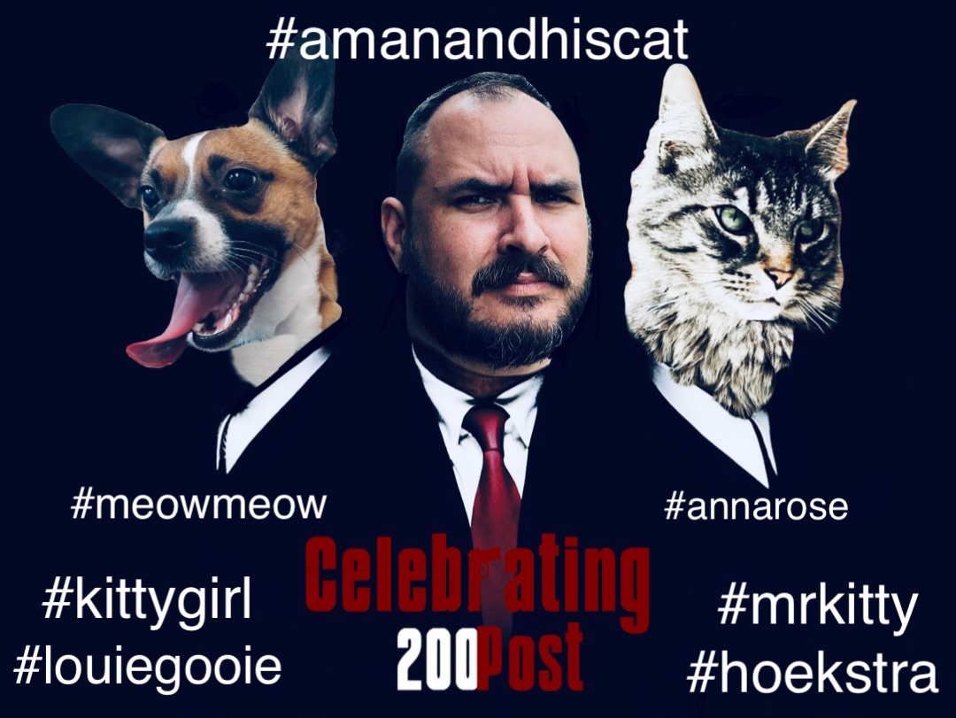 #hoekstra #mrkitty #louiegooie #amanandhiscat #meowmeow #kittygirl #annarose