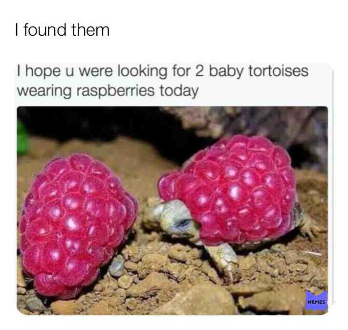 #haha #wow #whatislife #beautiful #cute #2019