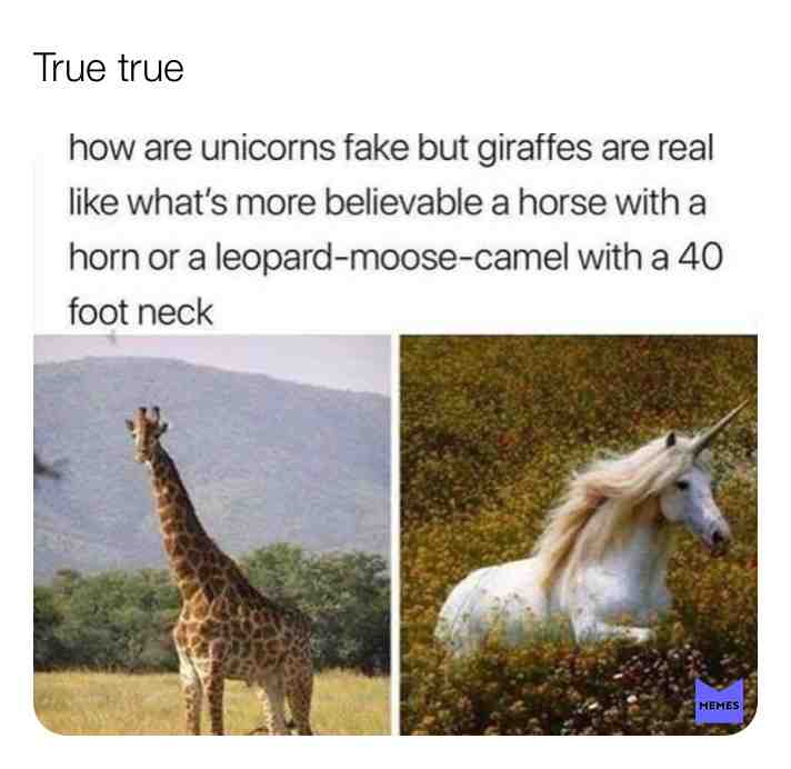 #cute #facts #whatislife #beautiful #nature #animals #2019