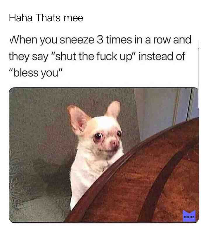 #mylife #2019 #cute #facts #wow #haha #whatislife #laugh #friends #animals #funnytexts #bestmemes #memes