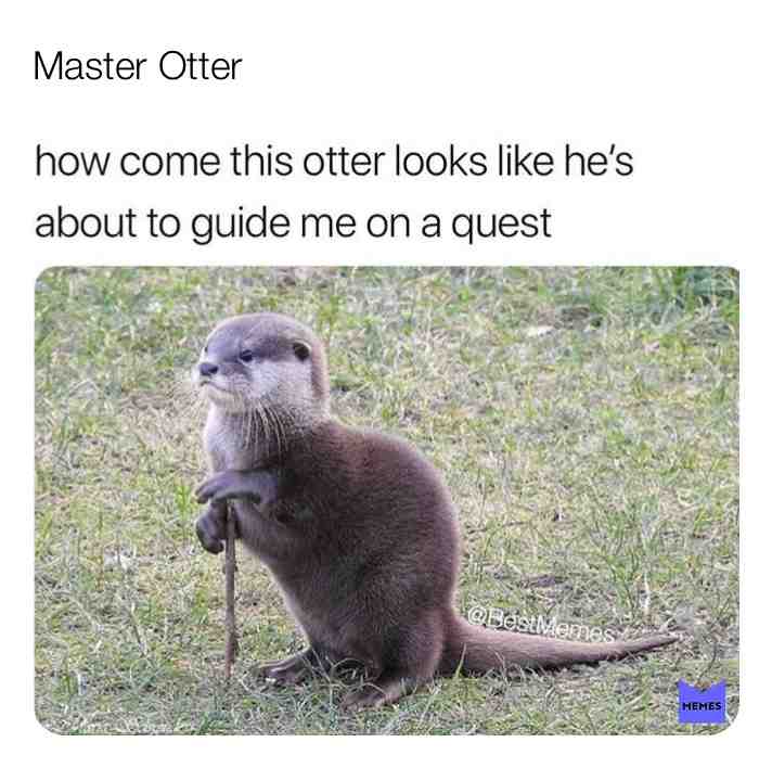 #cute #facts #whatislife #haha #wow #beautiful #laugh #nature #animals #funnytexts #bestmemes #memes #2019