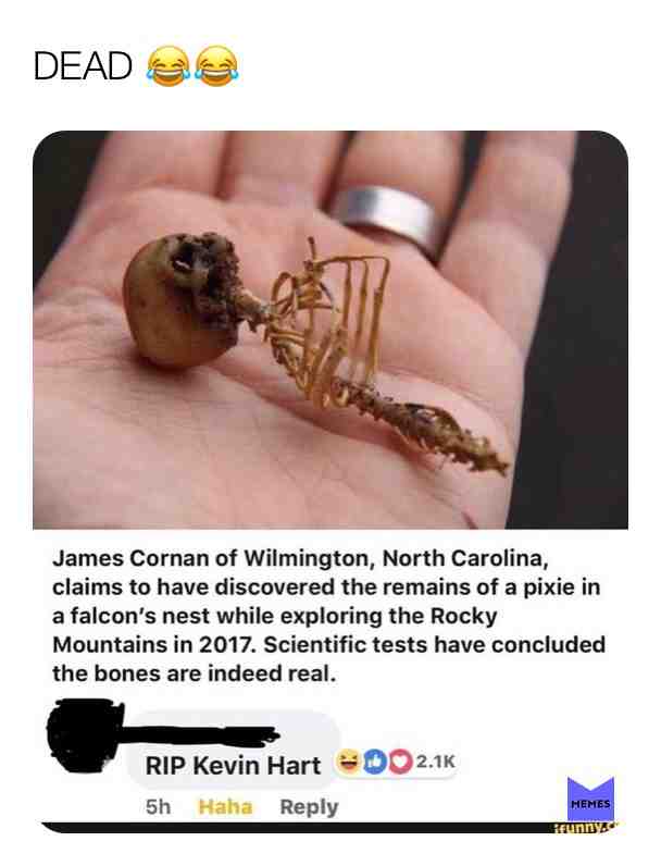 DISCLAIMER: I don’t own this, but I saw it and just had to share it with y’all 😂😂