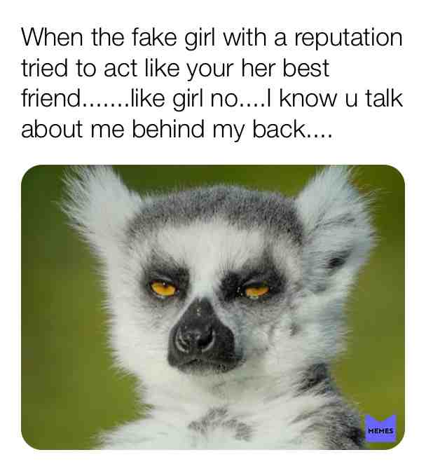 #memes #why #no #bae