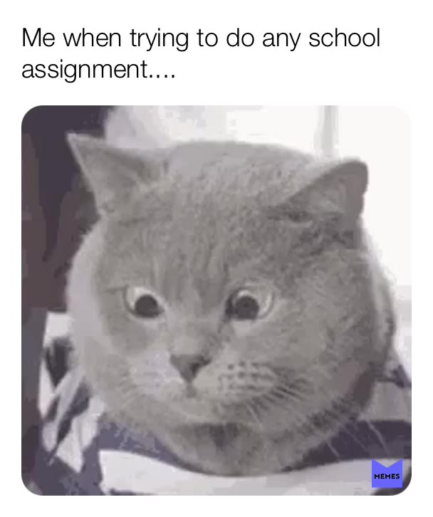 #memes  #why  #no  #help