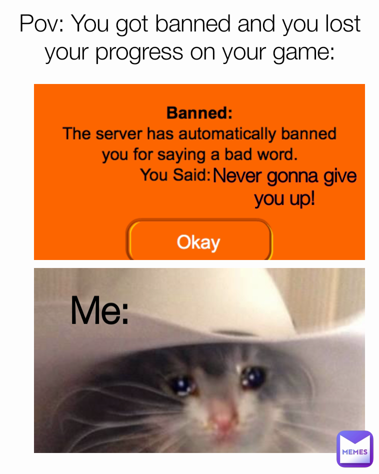 Me: Pov: You got banned and you lost your progress on your game: Never gonna give you up!