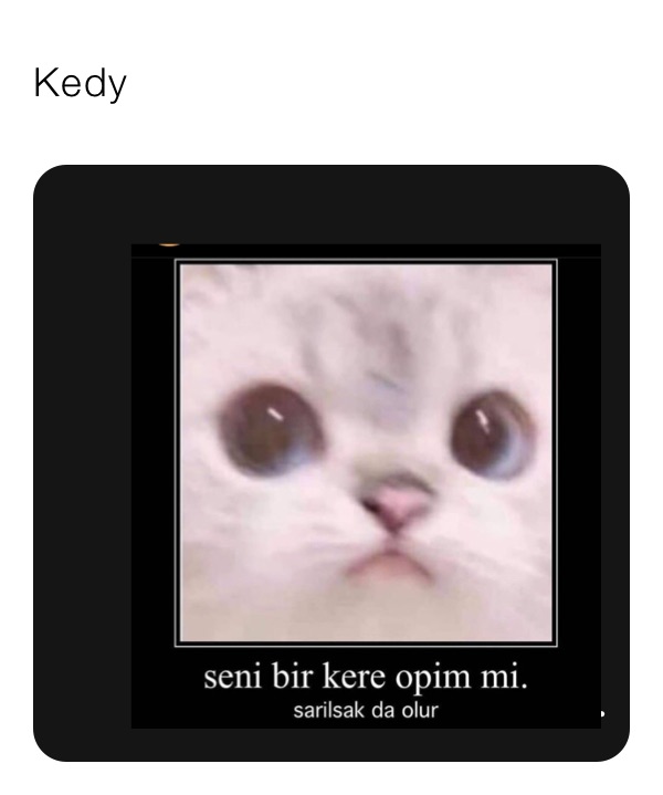 Kedy 