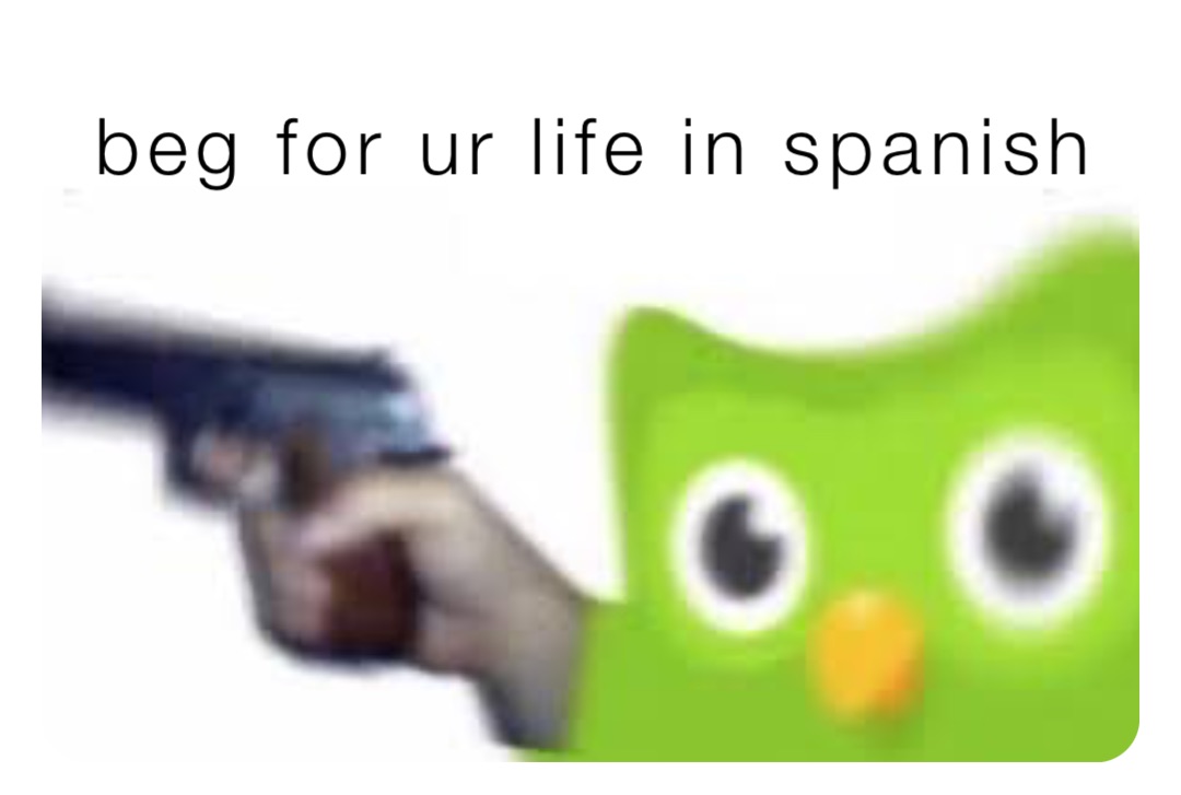 beg for ur life in spanish