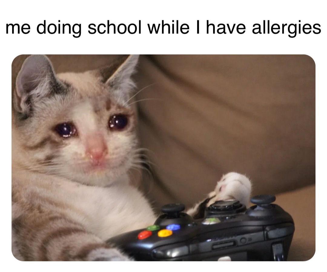 me doing school while I have allergies