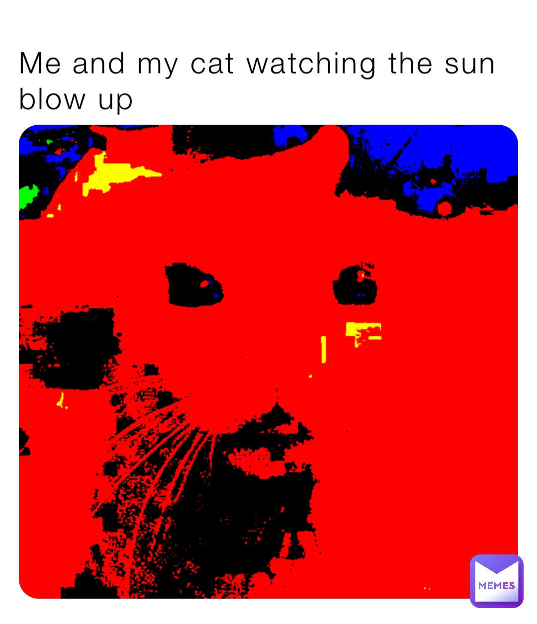 Me and my cat watching the sun blow up