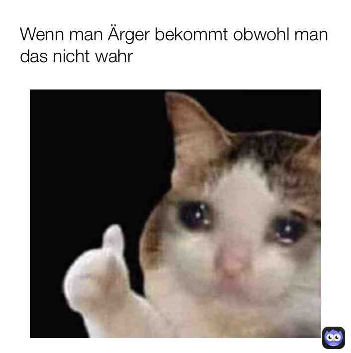 #lustig #katze @epunktgabi