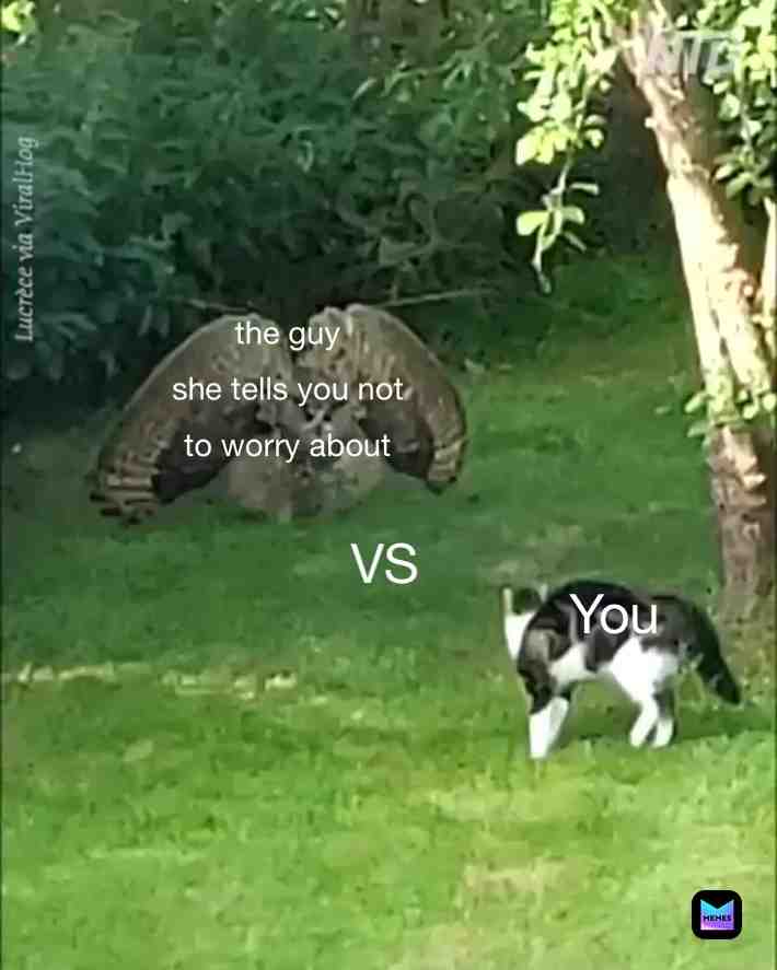 Meme shared by @MemeDroop