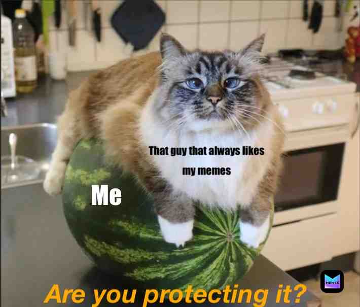 Meme shared by @MemeDroop