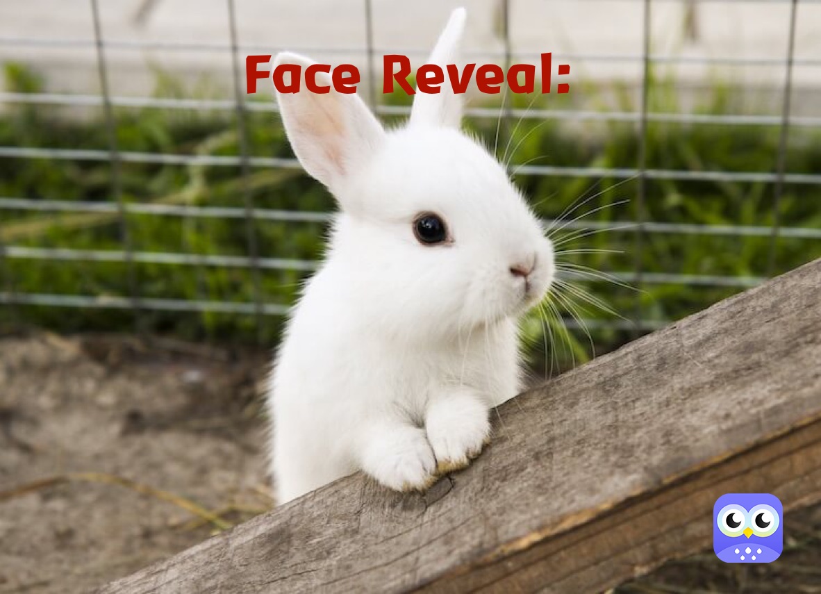 Face Reveal:
