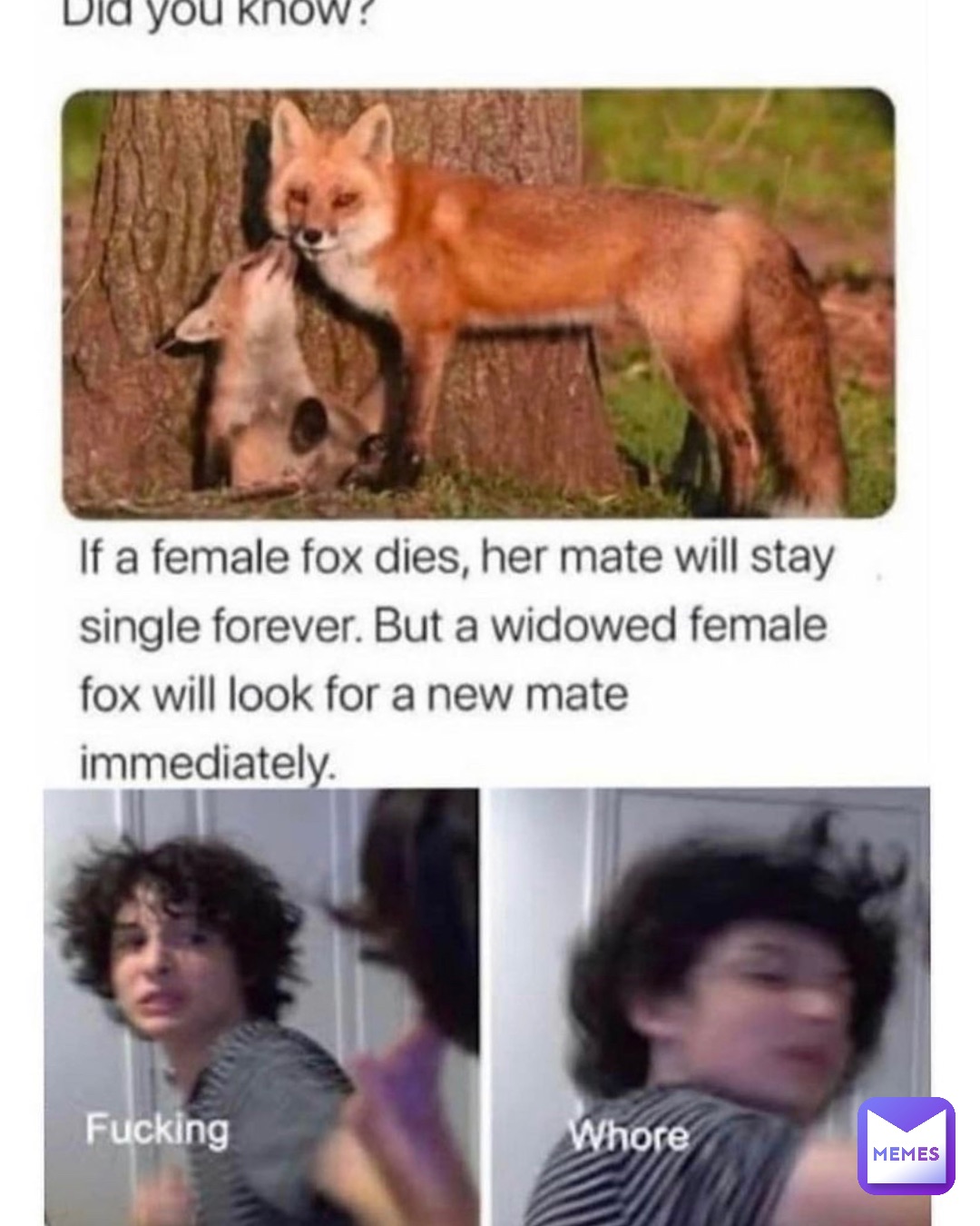 Meme by ibedoingitwell