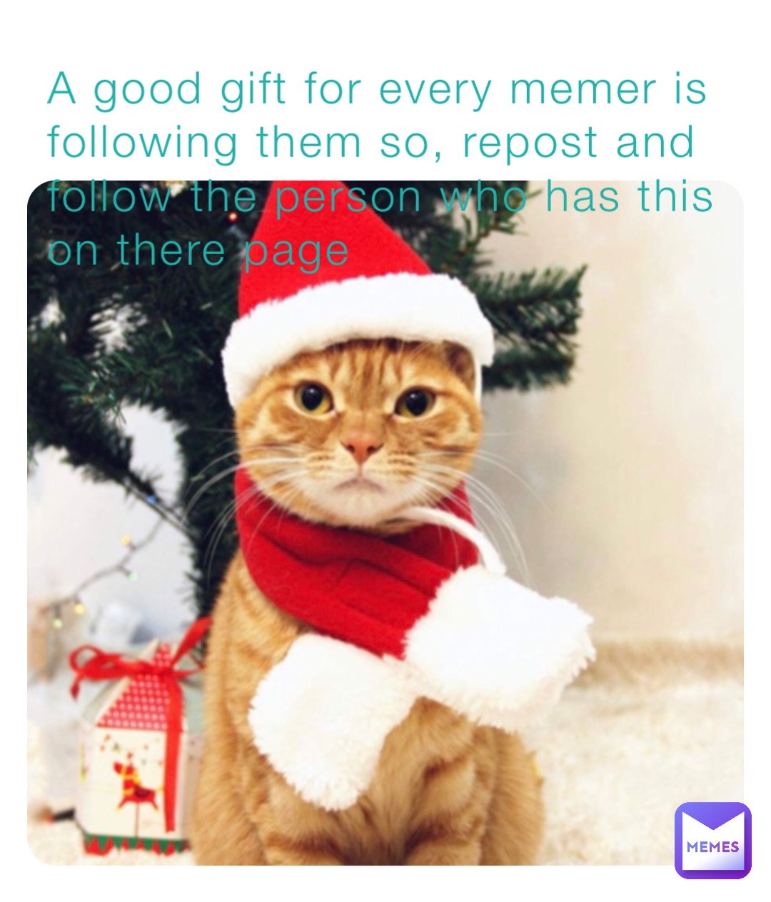 A good gift for every memer is following them so, repost and follow the person who has this on there page