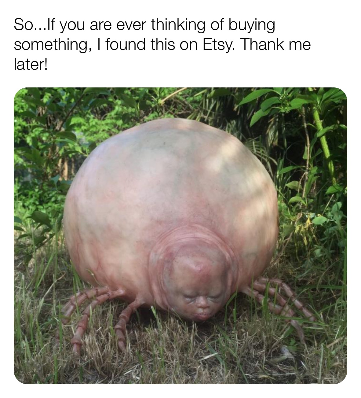 Meme by henry_frickin_c