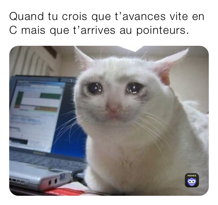 Quand tu crois que t’avances vite en C mais que t’arrives au pointeurs. 