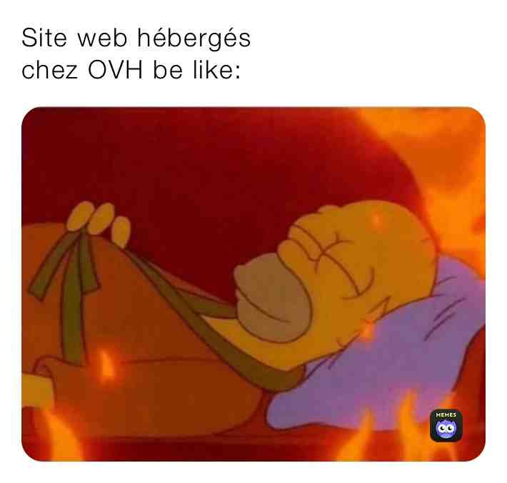 #ovh #server #dev #web #developers