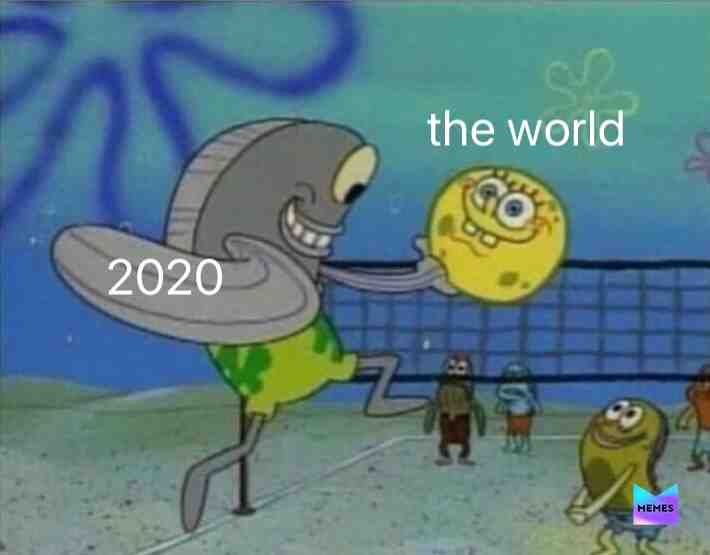 #2020 #raids #murderhornets #coronavirus #covid19 #ww3 #wtf