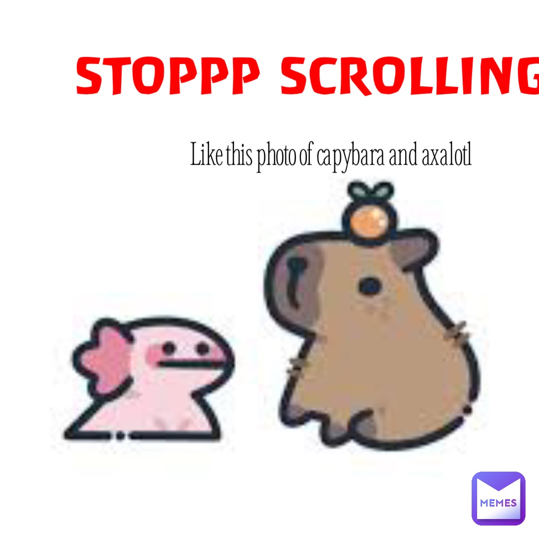 STOPPP SCROLLING Like this photo of capybara and axalotl