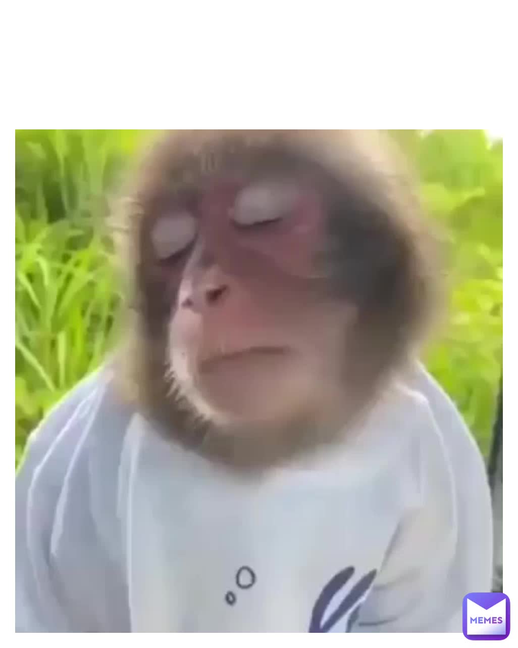 Meme shared by @whoyube