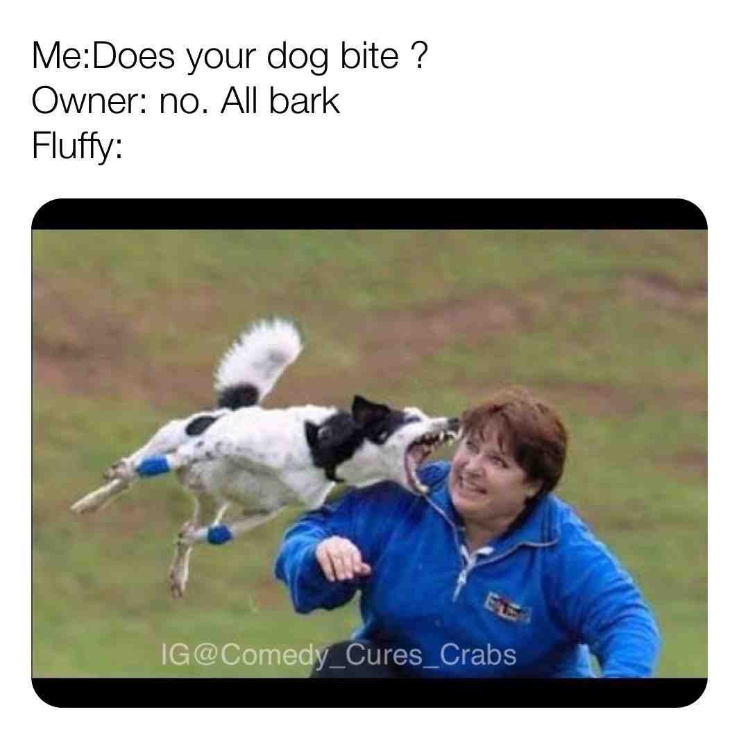 #allbarknobite  #dogs  #funny