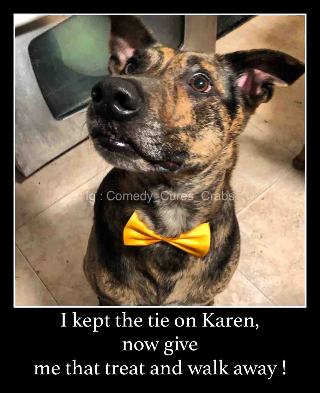 #cleanmeme  #fredthemutt19  #memes  #cleanmemes