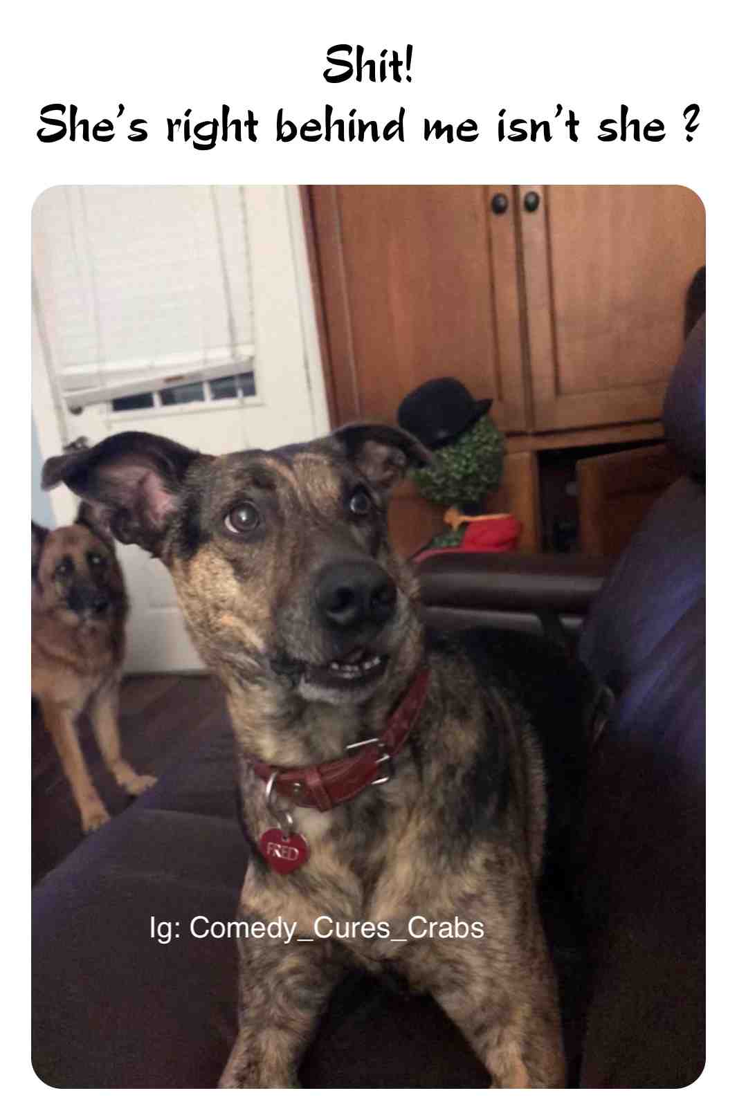 Maybe she didn’t hear me talking shit.