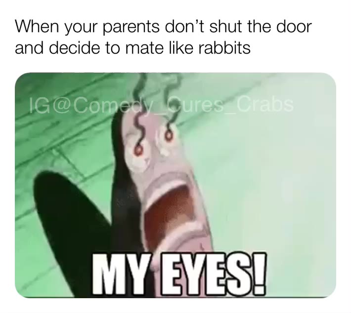 #rabbits  #horrifying  #funny  #embarrasing  #memes  #meme   #share