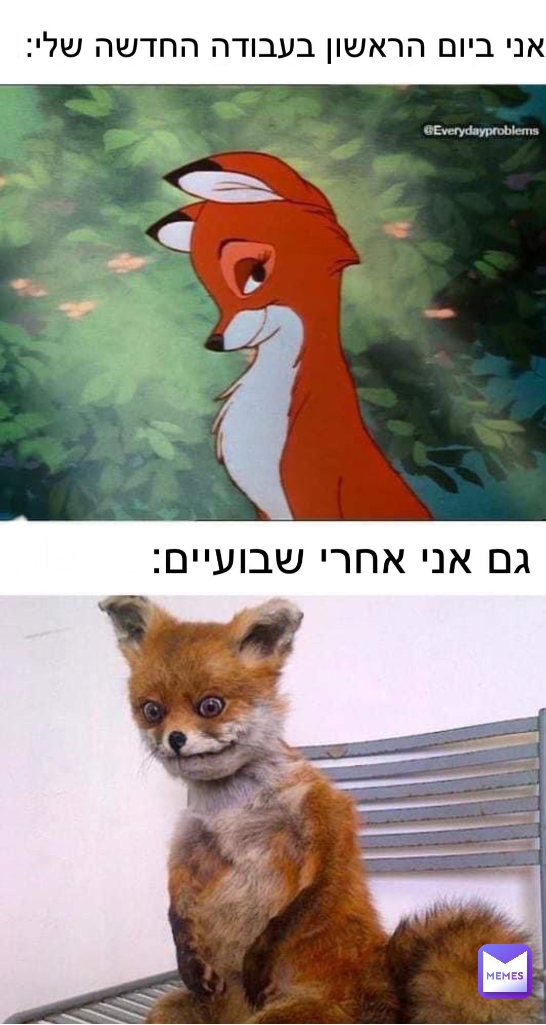 גם אני אחרי שבועיים: אני ביום הראשון בעבודה החדשה שלי: