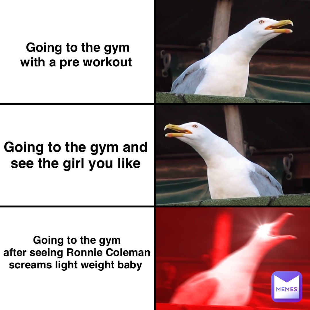 Going to the gym 
with a pre workout Going to the gym and 
see the girl you like Going to the gym 
after seeing Ronnie Coleman 
screams light weight baby